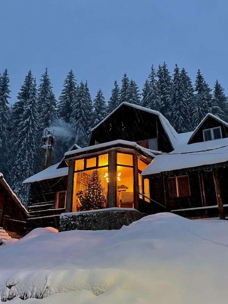 Cabana Patru Brazi Stâna de Vale Exterior foto