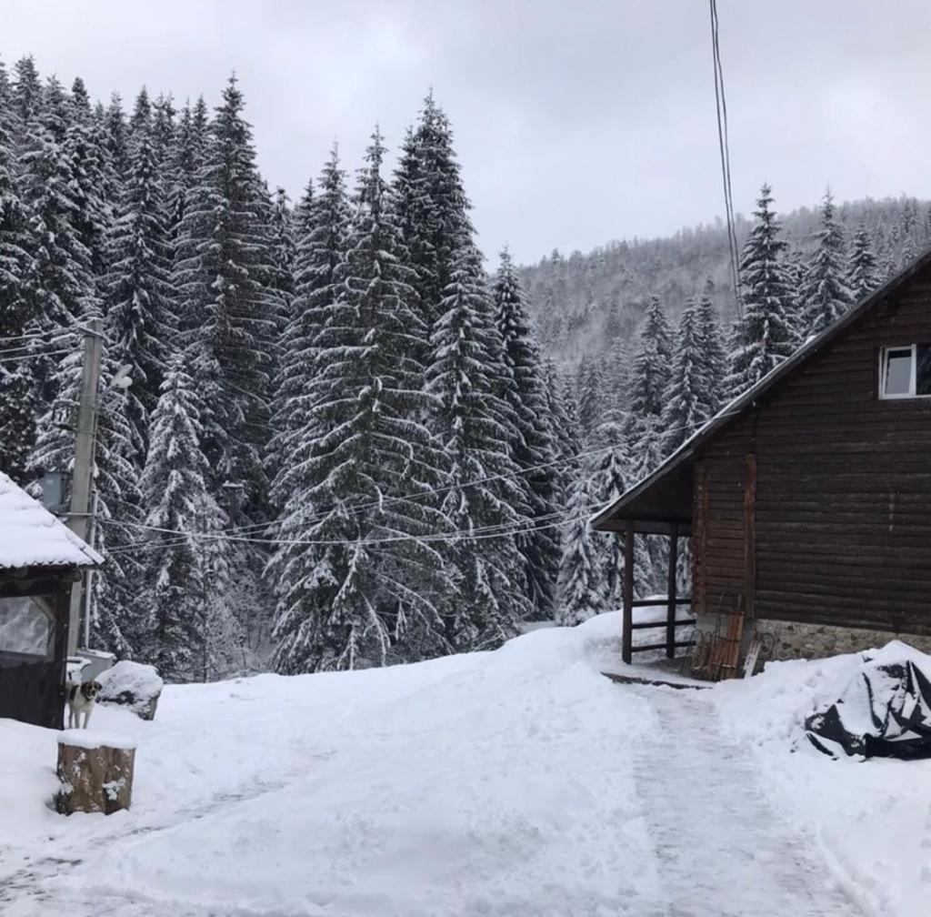Cabana Patru Brazi Stâna de Vale Exterior foto