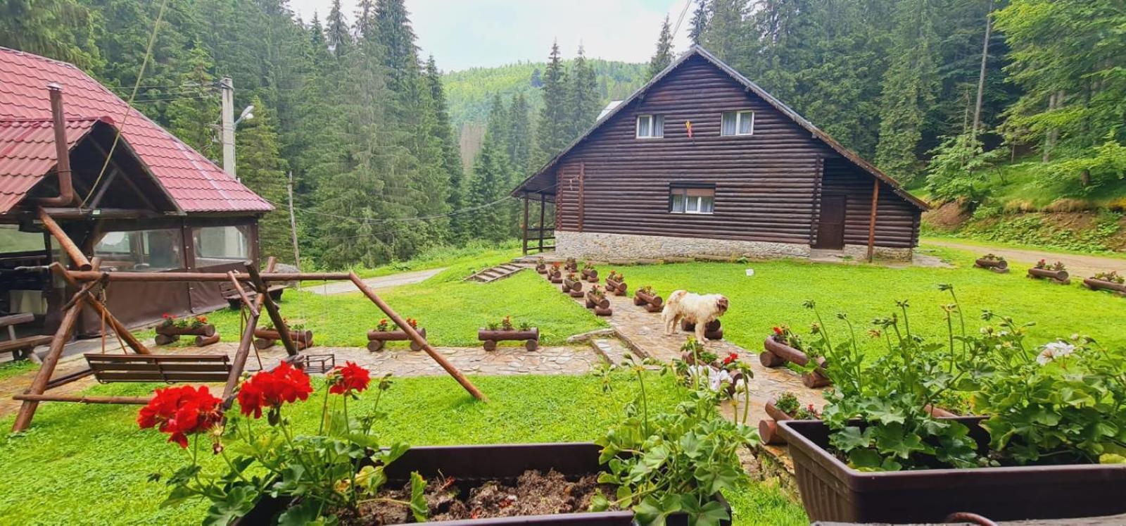 Cabana Patru Brazi Stâna de Vale Exterior foto