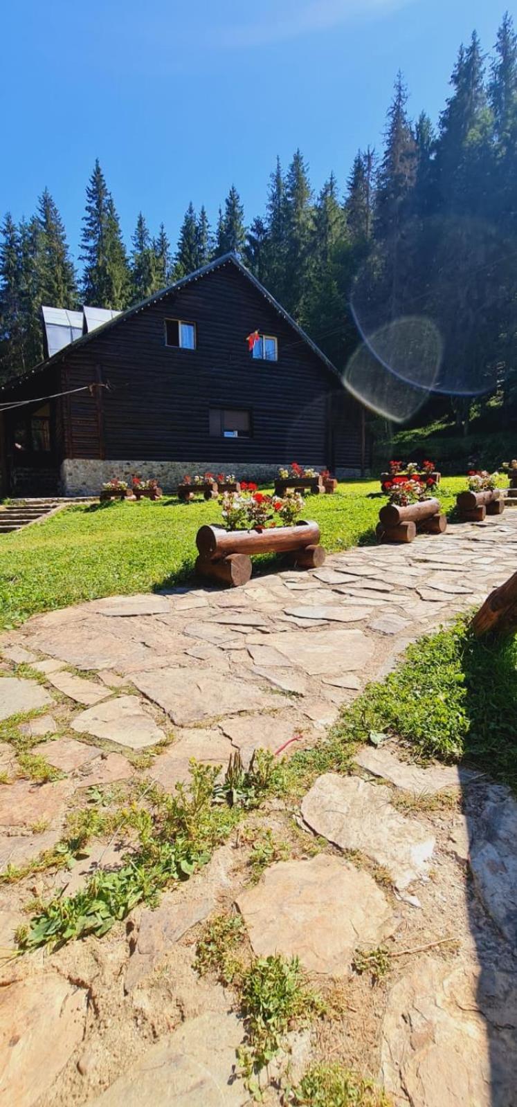Cabana Patru Brazi Stâna de Vale Exterior foto