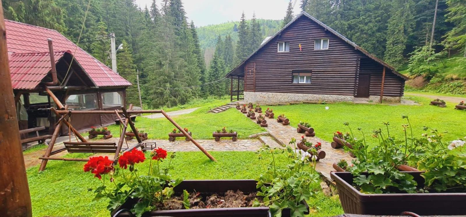 Cabana Patru Brazi Stâna de Vale Exterior foto